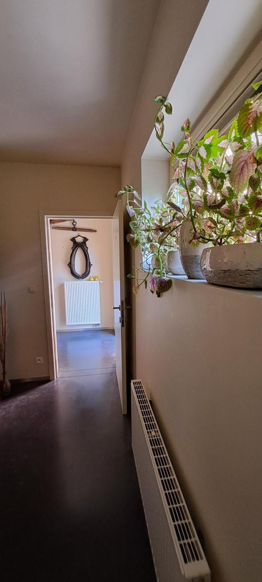 B&B Euverbraeke Beveren  Bagian luar foto